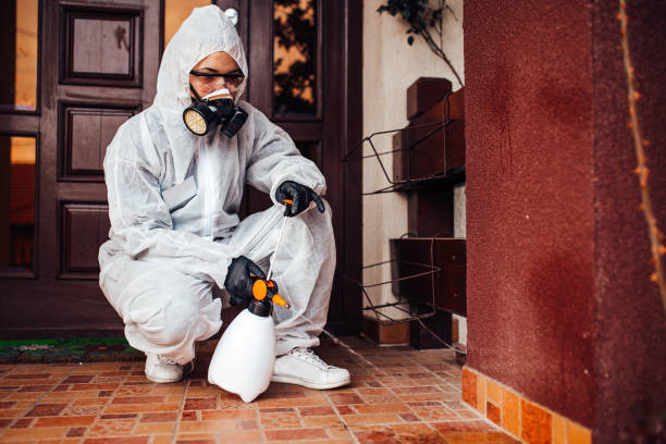 Reliable Ant Control contractor in Claxton, GA by Show Me Pest Control